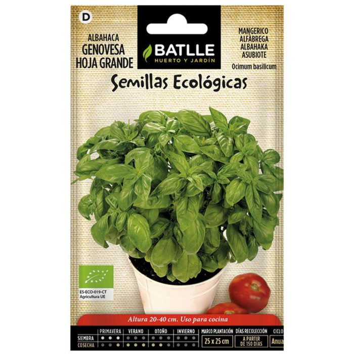 Semillas ecológicas de  Albahaca genovèse hoja grande Batlle