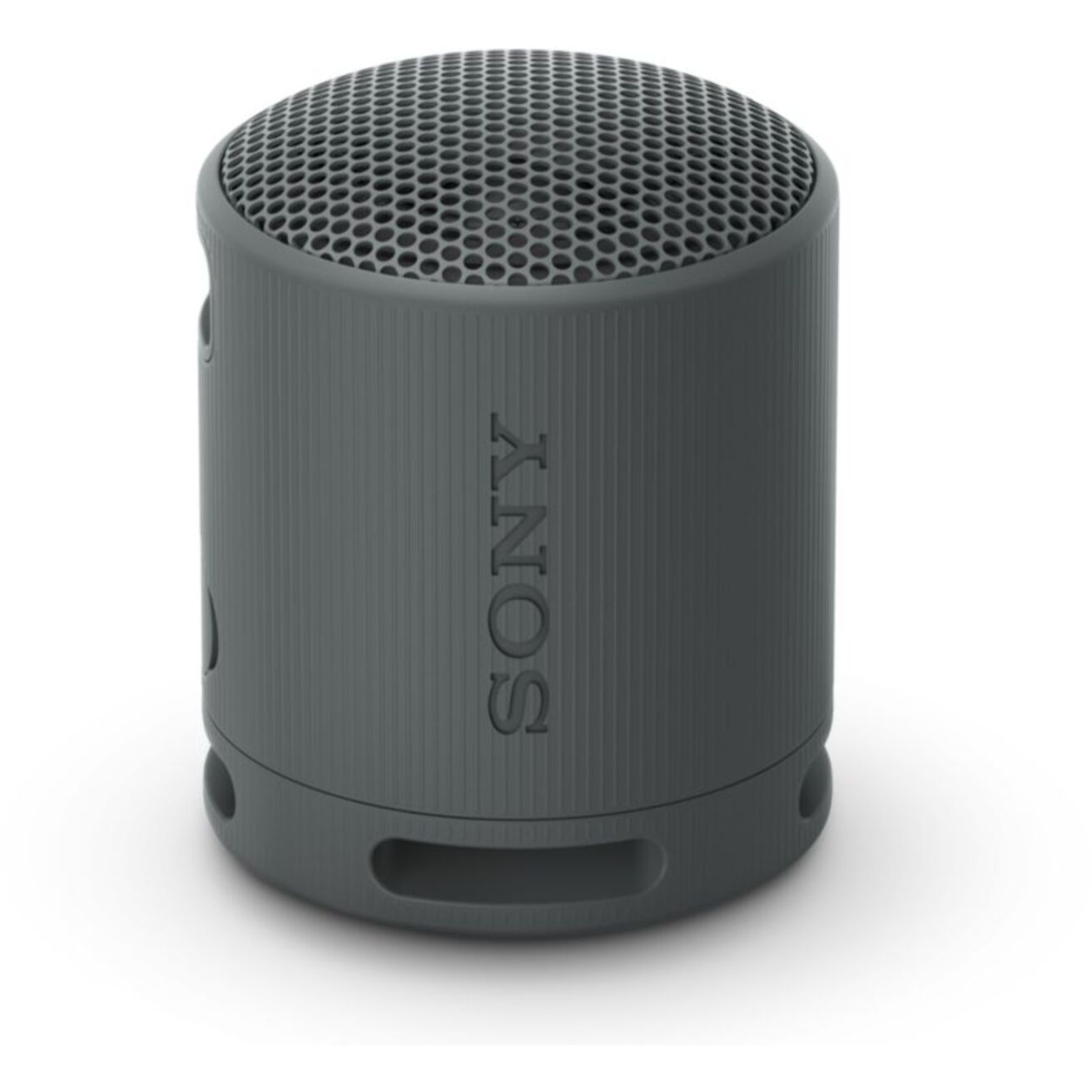 Enceinte portable SONY SRS-XB100 Noir Basalte