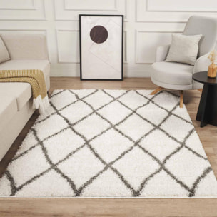 Tapis Shaggy longues mêches et aux motifs traditionnels Berbères