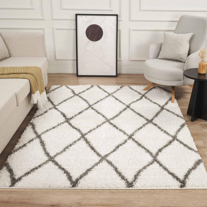 Tapis Shaggy longues mêches et aux motifs traditionnels Berbères