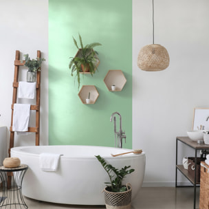 Rouleau adhésif décoratif Vinyle au Mètre - Menthe - Sticker Lavable Imperméable Mur Cuisine Meubles