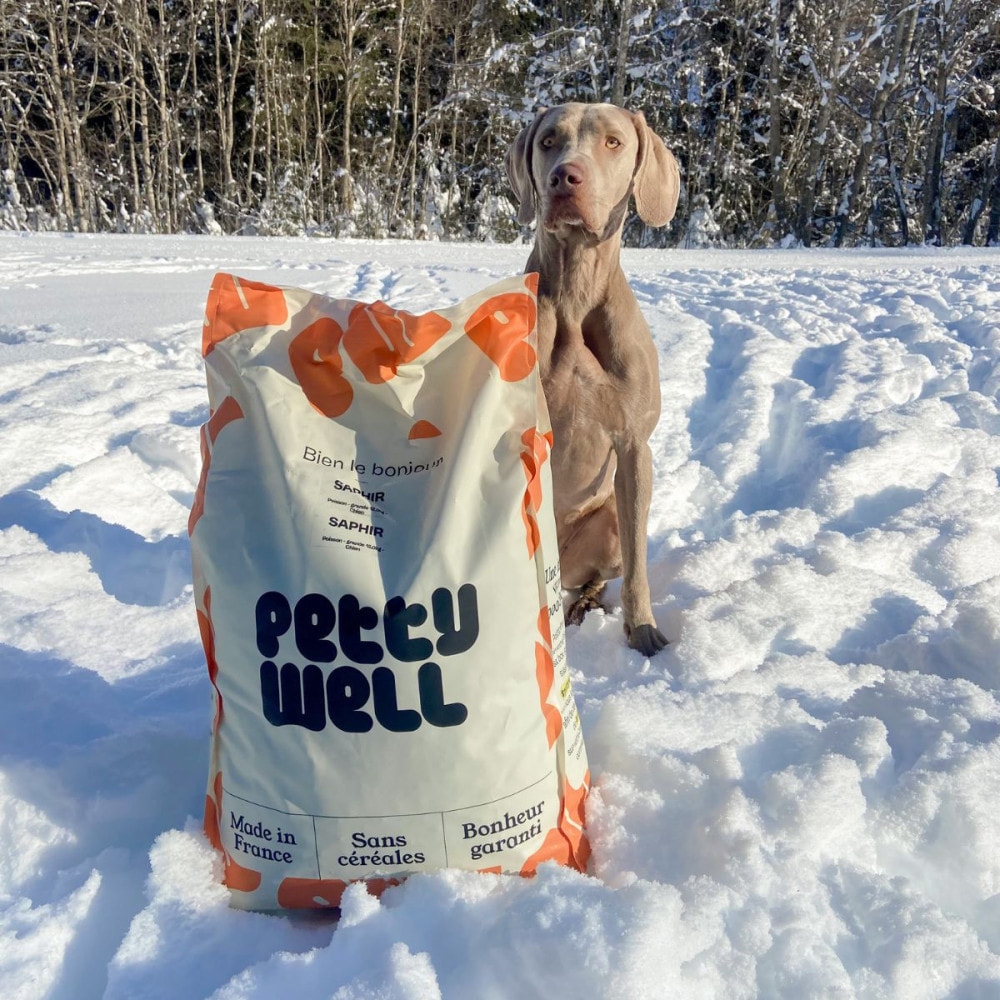 Croquettes Poulet petite taille - 12kg - Chien