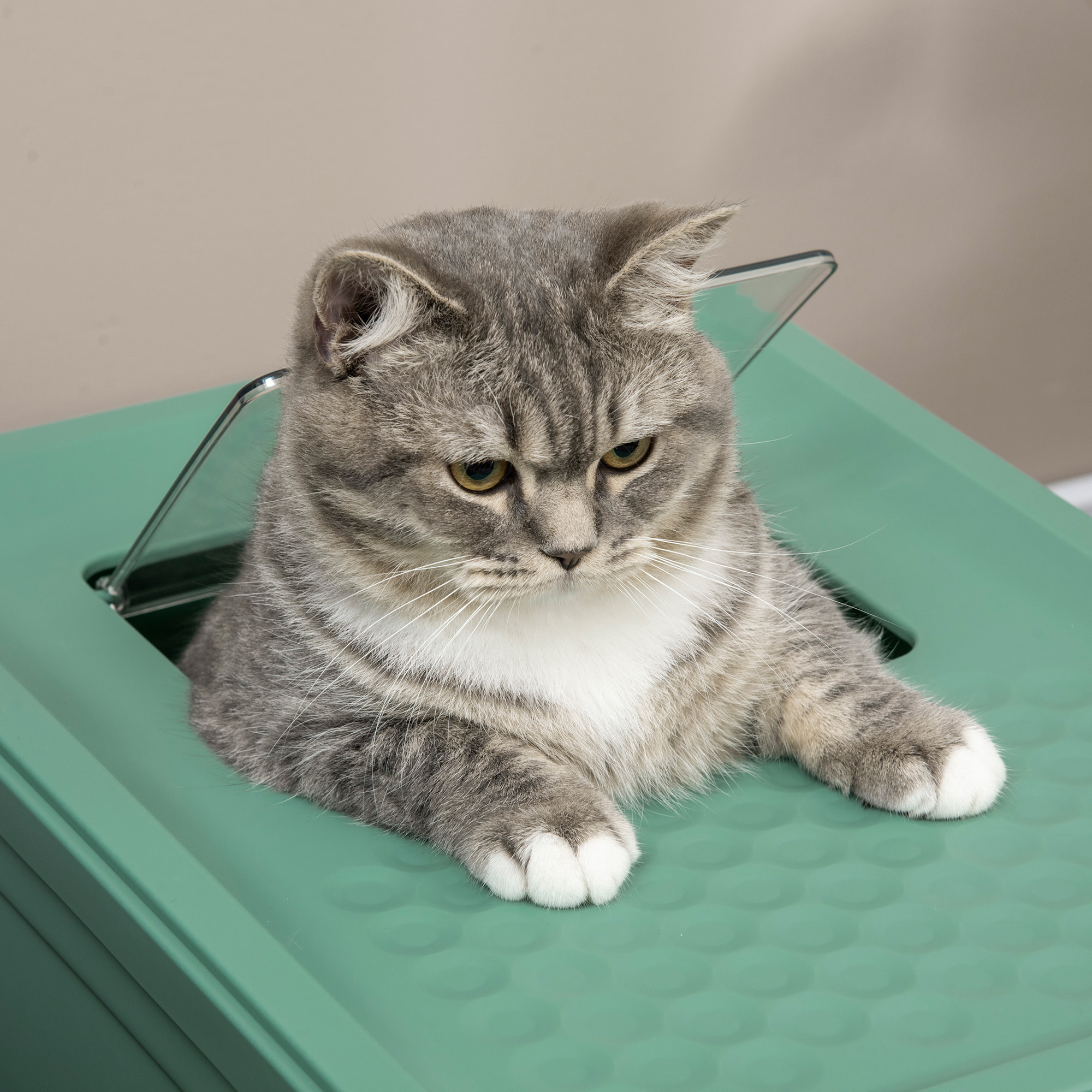 Maison de toilette pliable pour chat - tiroir à litière coulissant, porte battante et trappe transparente, pelle - blanc vert