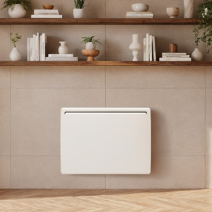 Radiateur Inertie Ceramique 1000w