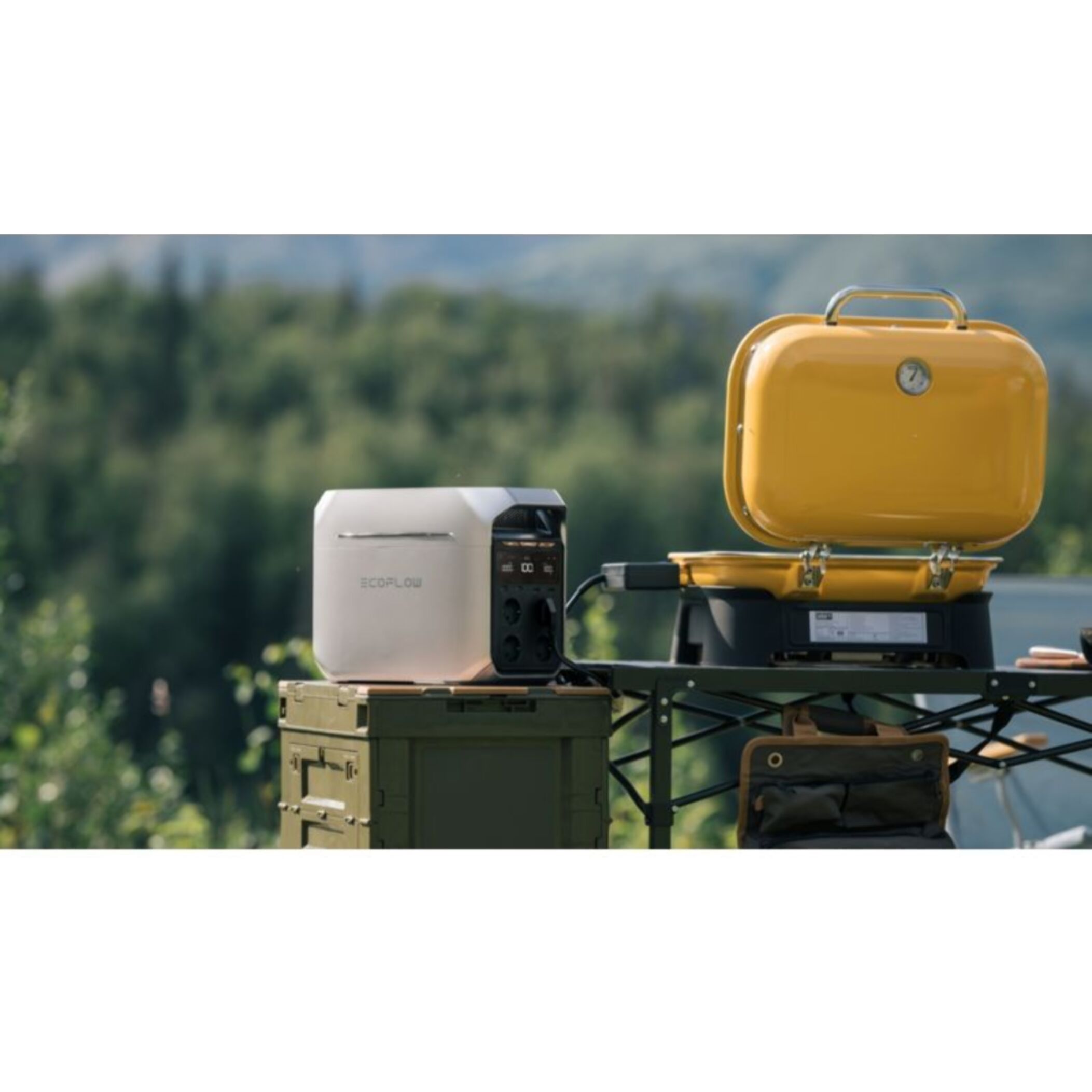 Station de charge ECOFLOW DELTA 3 Plus Portable Power Station
