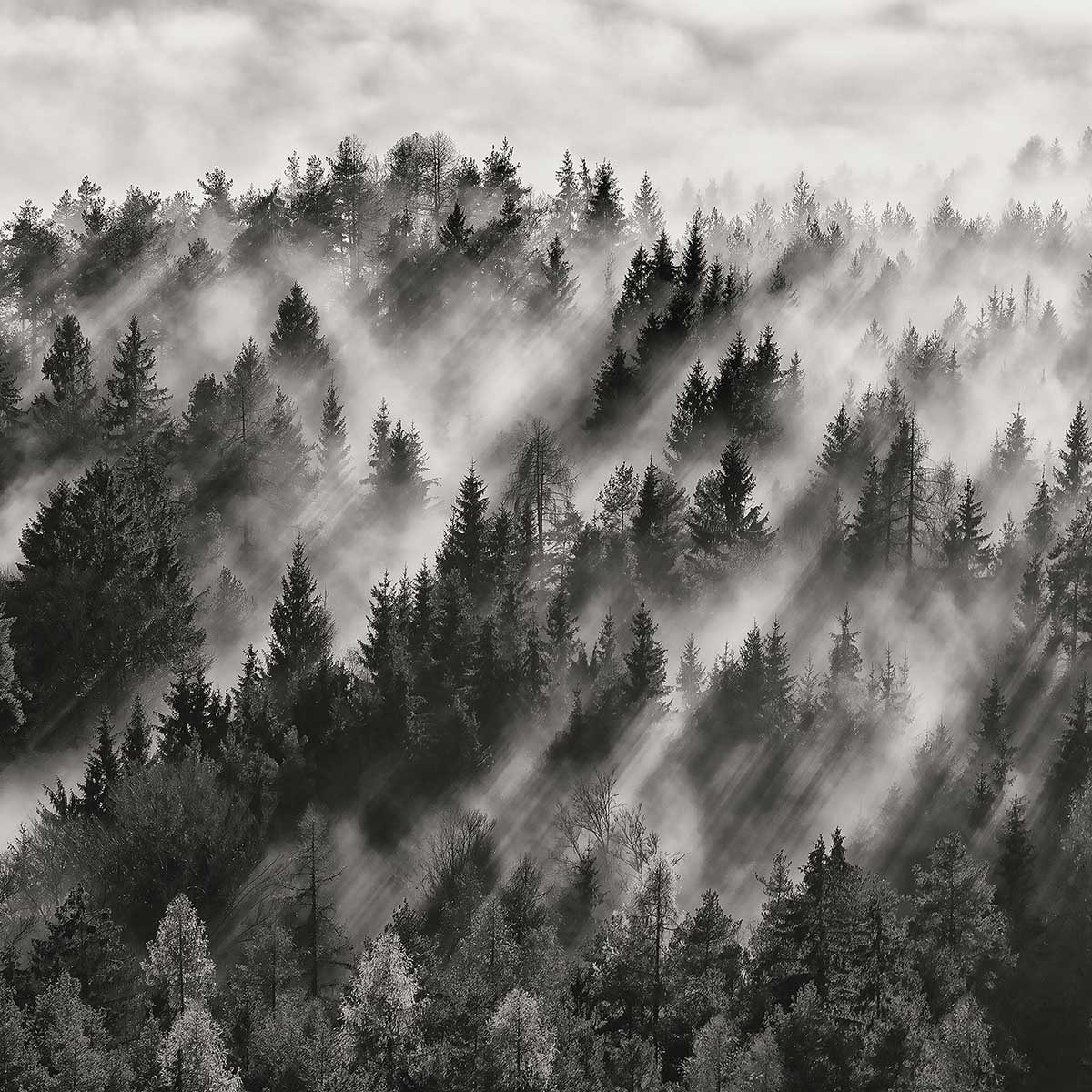 Affiche paysage rayons de lumière Affiche sous cadre noir