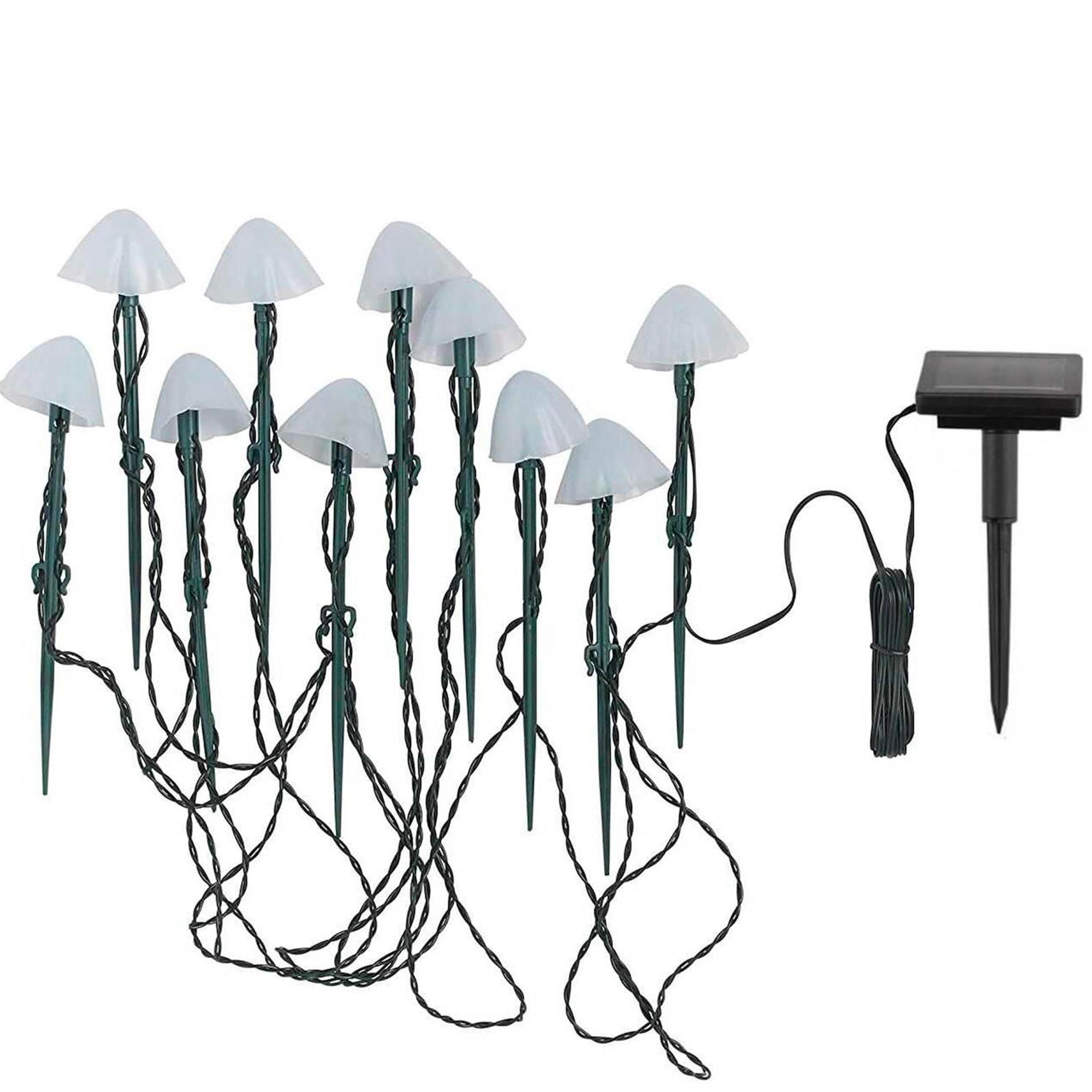 10 Champignon solaire CHAMPY 3.8M