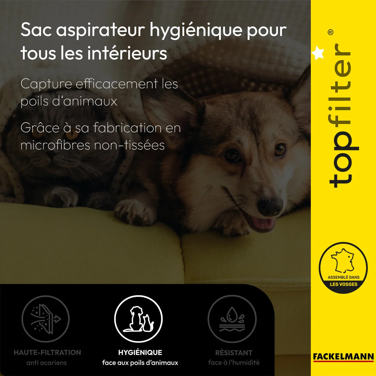 Lot de 4 sacs aspirateur pour Hoover et Elcotec TopFilter Premium