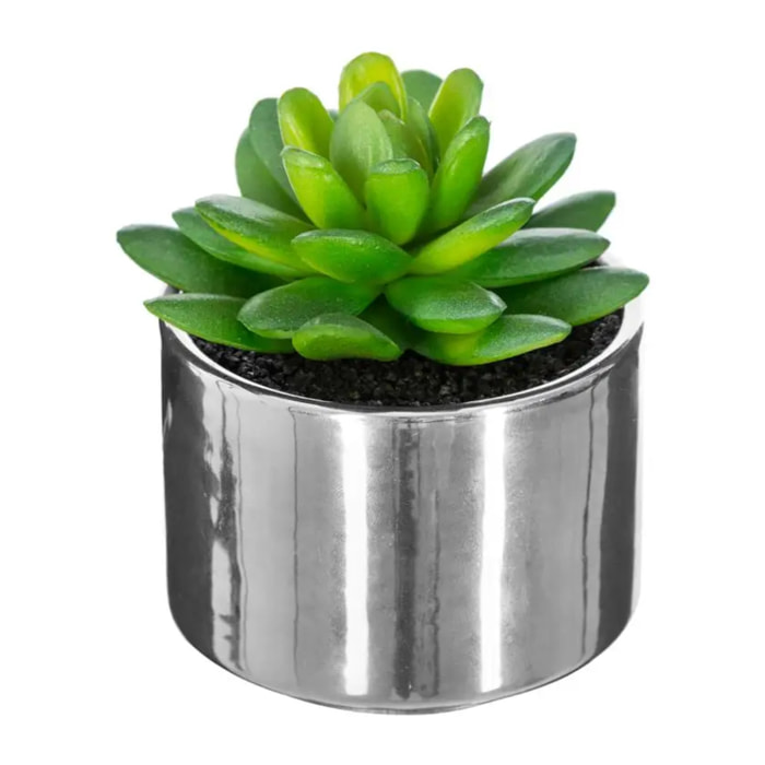 Plante verte pot céramique H.15