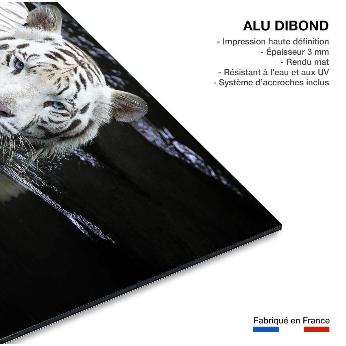 Tableau tigre Regarde moi Tableau alu Dibond