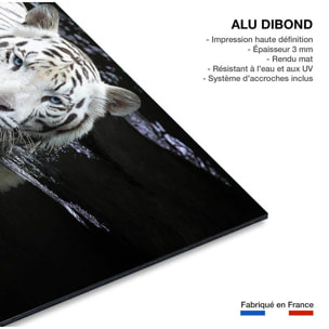 Tableau tigre Regarde moi Tableau alu Dibond