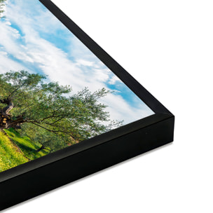 Affiche encadrée – Oliveraie lumineuse Affiche + cadre en métal - Noir