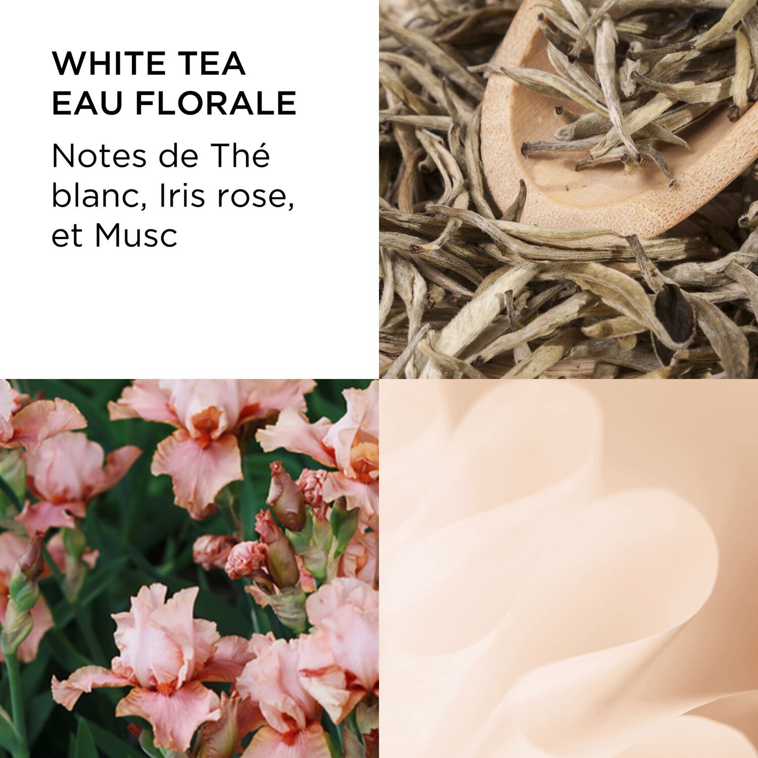 White Tea - Coffret White Tea 3 Miniatures
