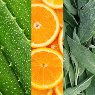 Facial Spray with Aloe, Sage & Orange Blossom - Spray visage à l'aloe vera, sauge et fleur d'oranger