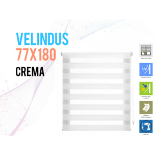 Store enrouleur Polyester Translucide Multicolore