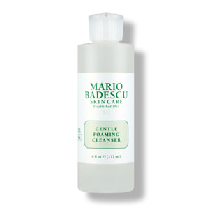 Gentle Foaming Cleanser - Nettoyant moussant doux