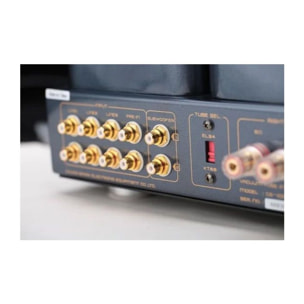 Amplificateur HiFi CAYIN CS-100A KT88 Silver