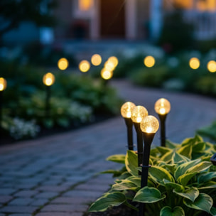 20 Balise solaire à piquer FESTY PICK 6M