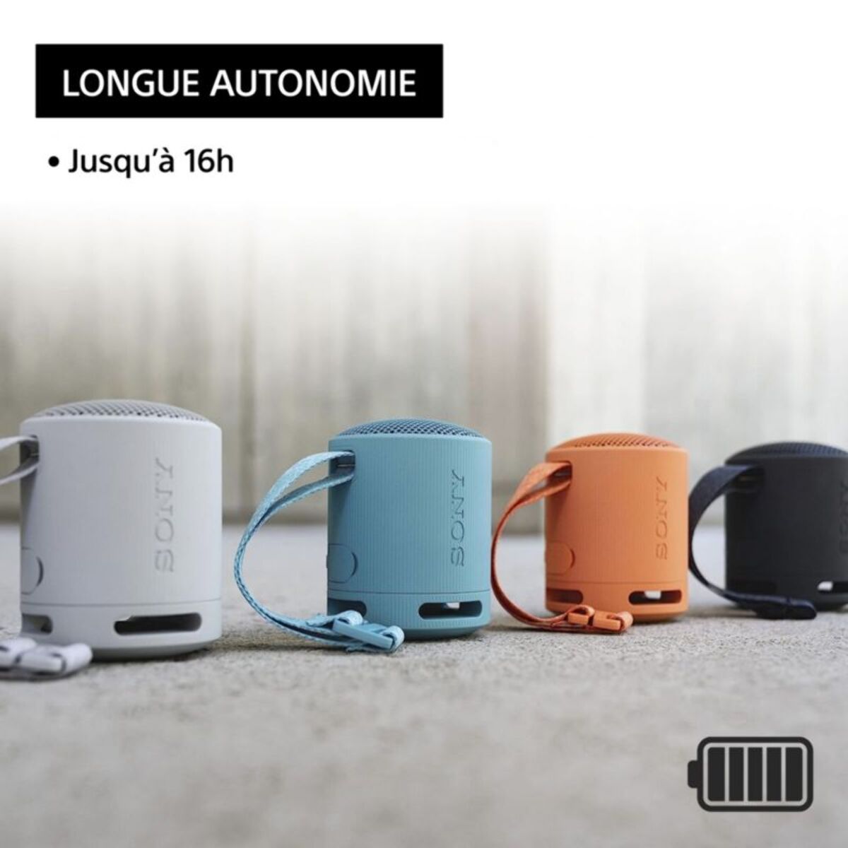 Enceinte portable SONY SRS-XB100 Noir Basalte