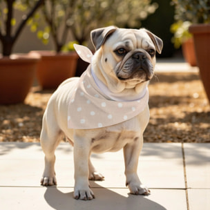 Pack de 2 bandanas pour animaux 0120-179