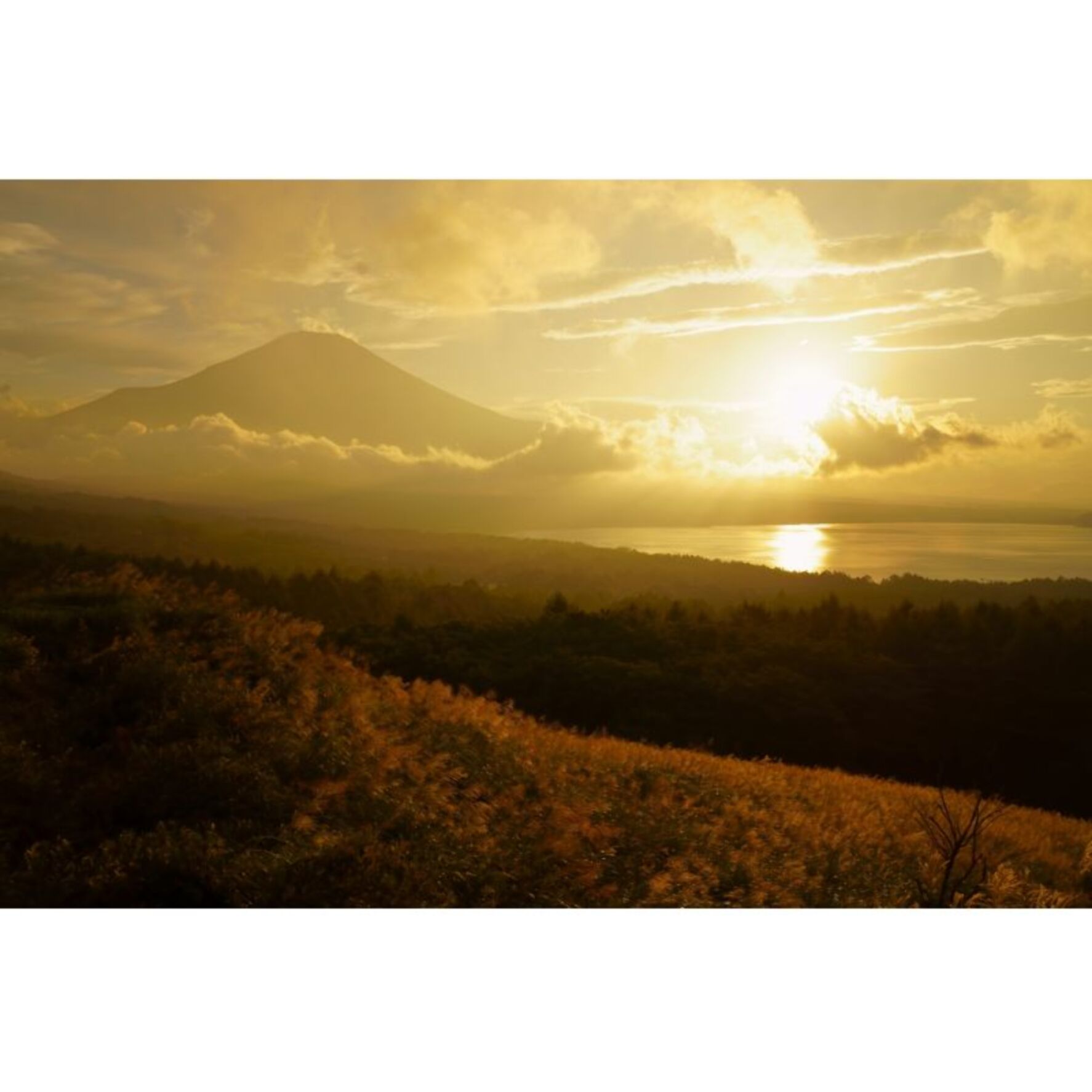 Objectif pour Hybride TAMRON 35mm F2.8 DI III OSD Sony FE