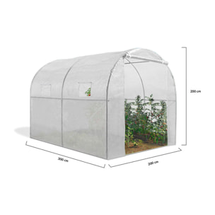 Serre 6m² blanche - gamme toutes saisons