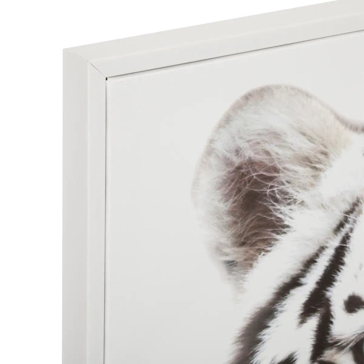 Toile encadrée tigre noir et blanc 50x70cm