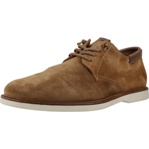 DERBIES - OXFORD CETTI C1351