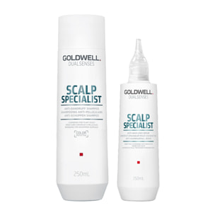 GOLDWELL DS Kit Scalp Specialist Anti Dandruff Shampoo 250ml + Rebalance & Hydrate Fluid 150ml