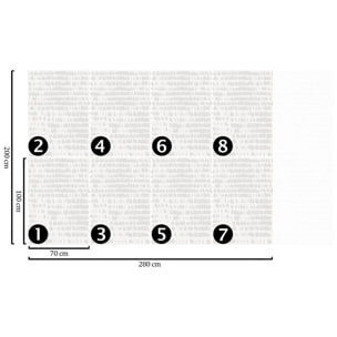 Carta da Parati Bianca Grigia