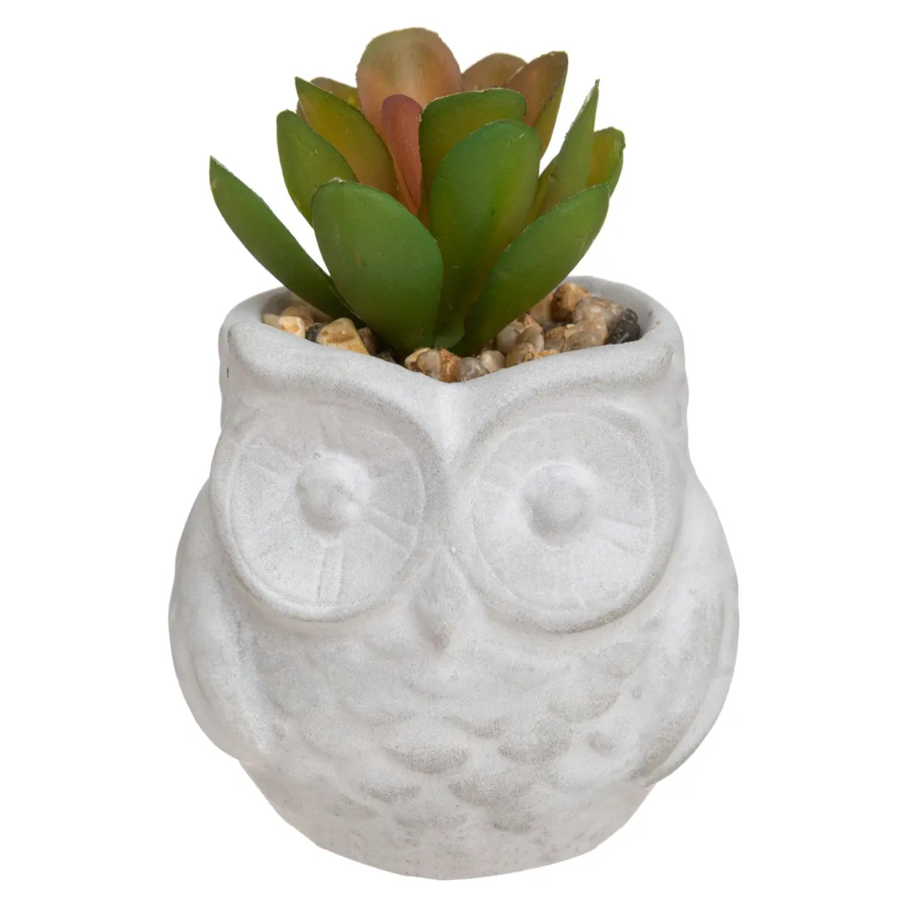 Succulente artificielle - pot en ciment - H8 cm