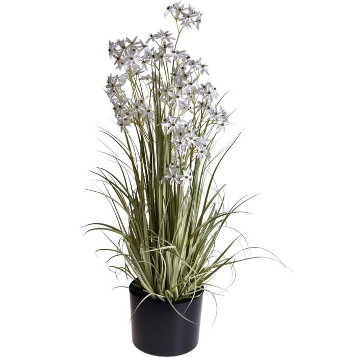 Pianta Allium. Altezza 115Cm - Pezzi 1 - 26X115X26cm - Colore: Bianco - Bianchi Dino - Piante Artificiali