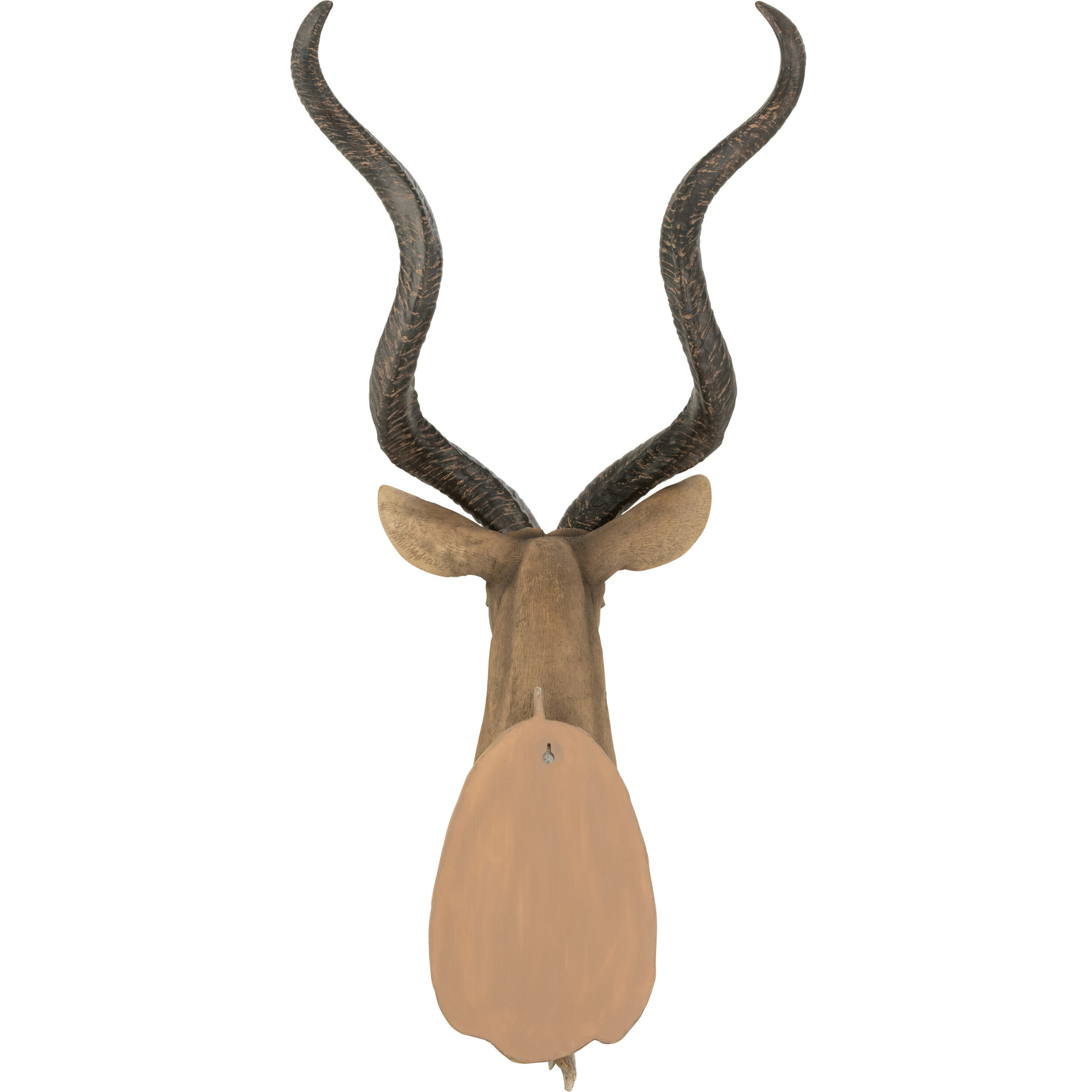 J-Line décoration murale Antilope Tête - polyrésine - brun