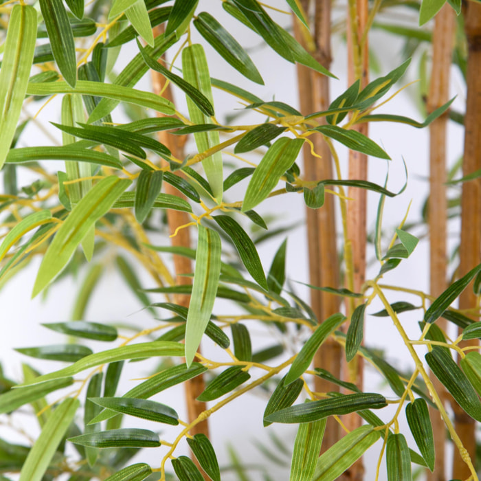 Bamboo con vaso - Pezzi 1 - Colore: Verde - 20xH210x20cm - Bianchi Dino