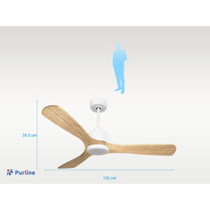 Ventilateur de plafond Réversible  Thermostat Dimmable Wifi Moteur à courant continu Toits en pente Télécommande Lumière à trois tons Hypersilence Mémoire