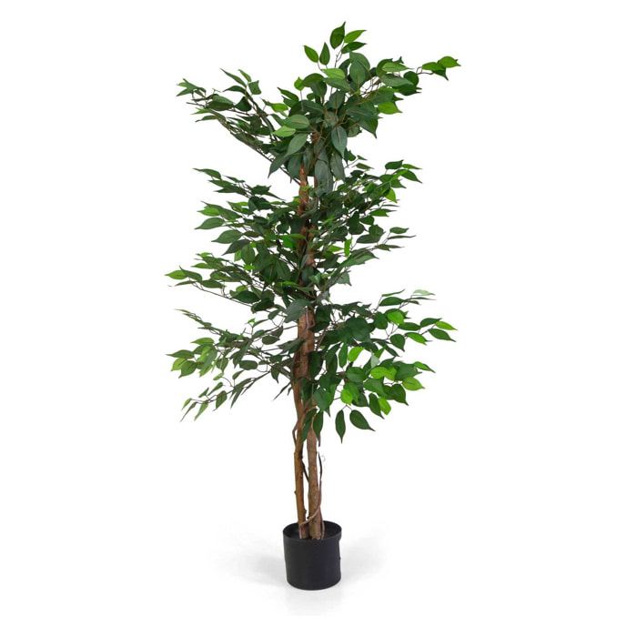 Pianta artificiale Vacchetti in plastica ficus cm h150
