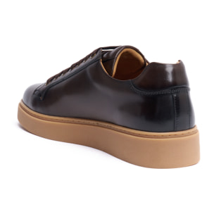 Sneaker British Passport Testa di Moro