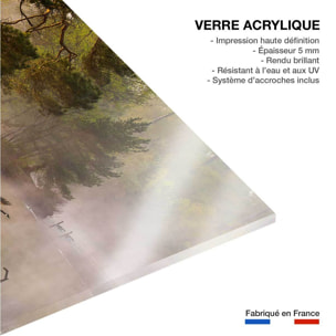 Tableau oies sauvages Tableau plexiglas