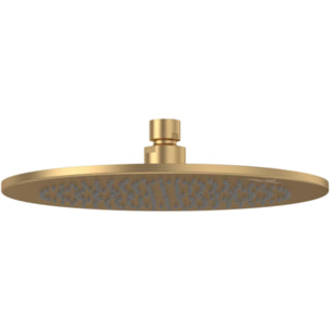 Douche de tête Universal ronde Brushed Gold