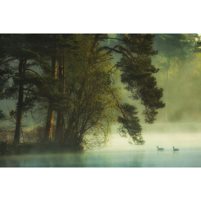 Tableau paysage marais neerlandais Tableau alu Dibond