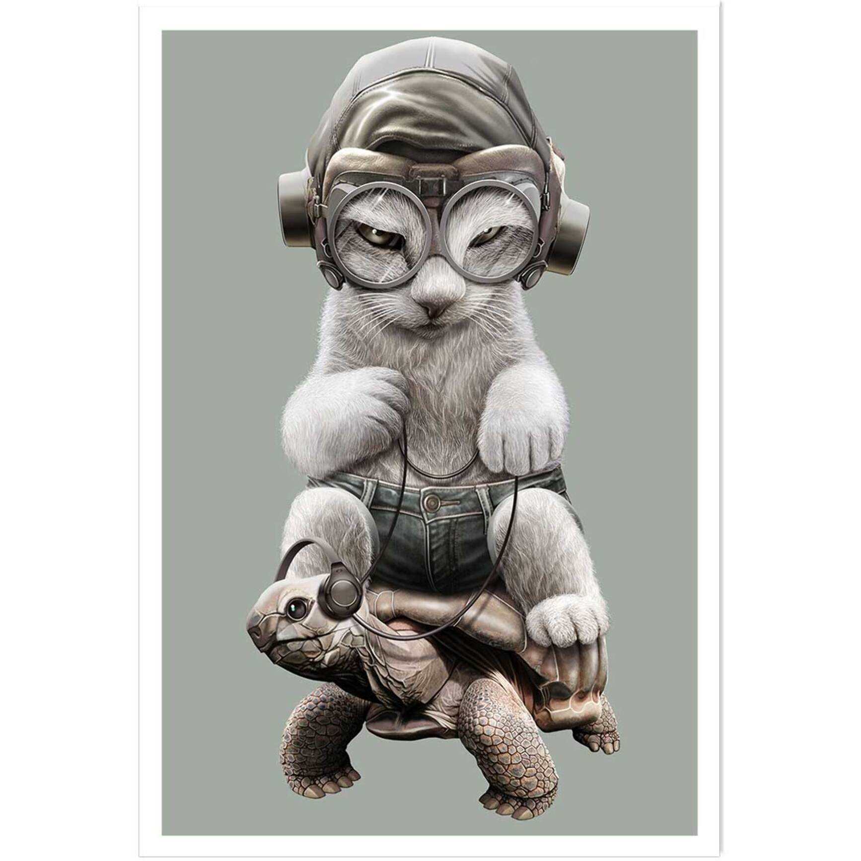 Affiche enfant chat sur une tortue  Affiche seule