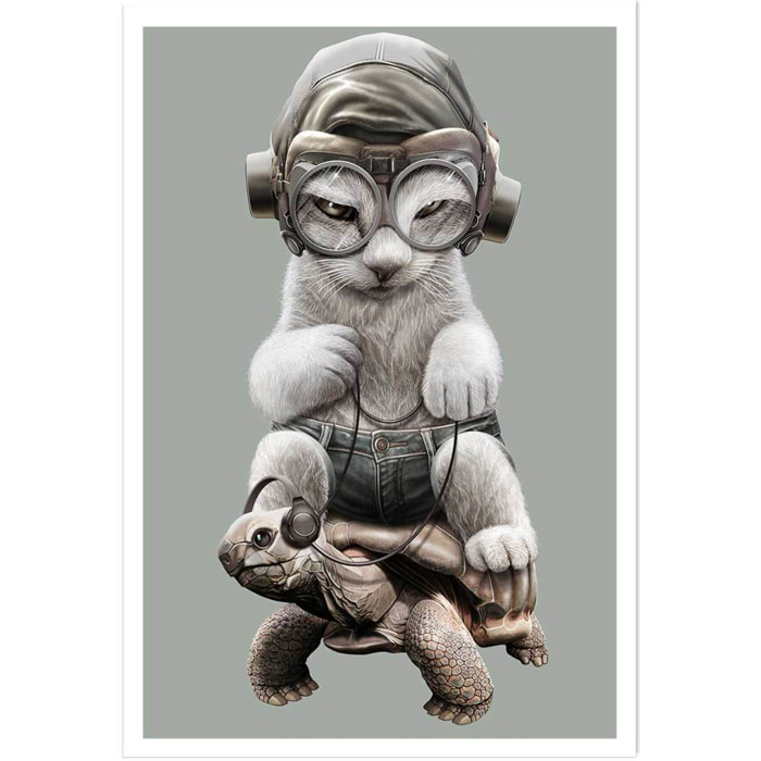 Affiche enfant chat sur une tortue  Affiche seule