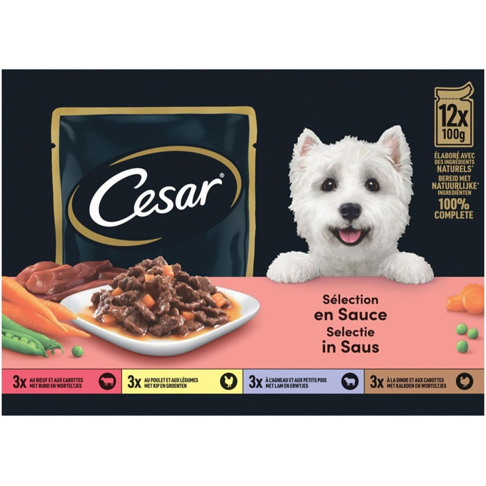 CESAR 72 Sachets fraîcheur en sauce 4 variétés pour chien 100g (6x12)