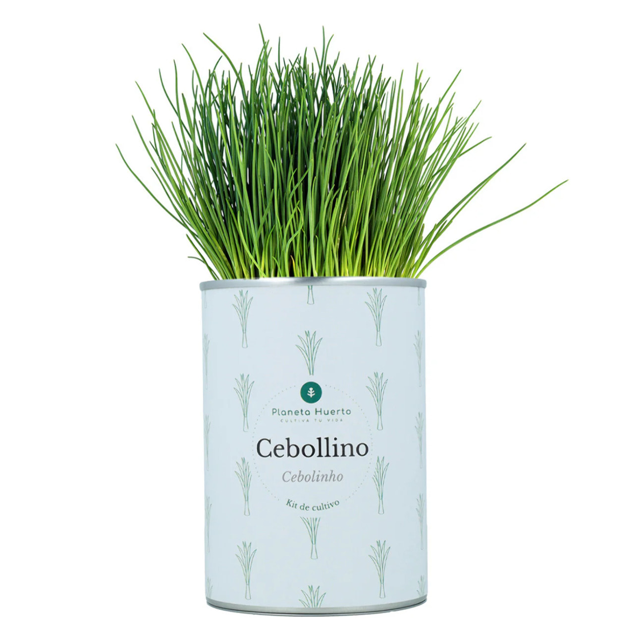 Pack Kits de cultivo aromáticas Planeta Huerto