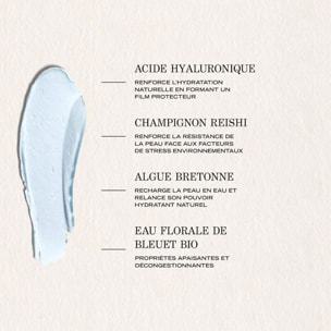 Source - Stick Regard Hydratant Adaptogène 15 ml
