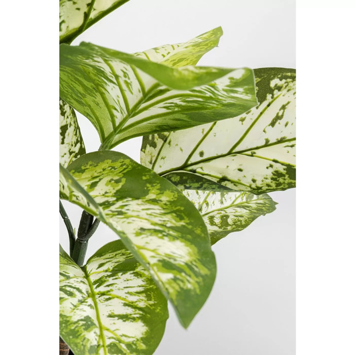 Plante décorative Dieffenbachia 100cm Kare Design