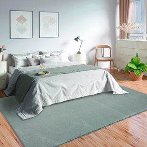 Tapis salon MITA, soft et soyeux, tapis uni à l'aspect Shaggy
