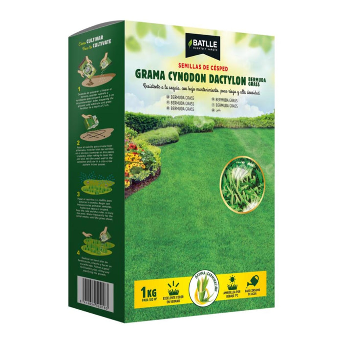 Semillas césped grama Cynodon dactylon 1 kg