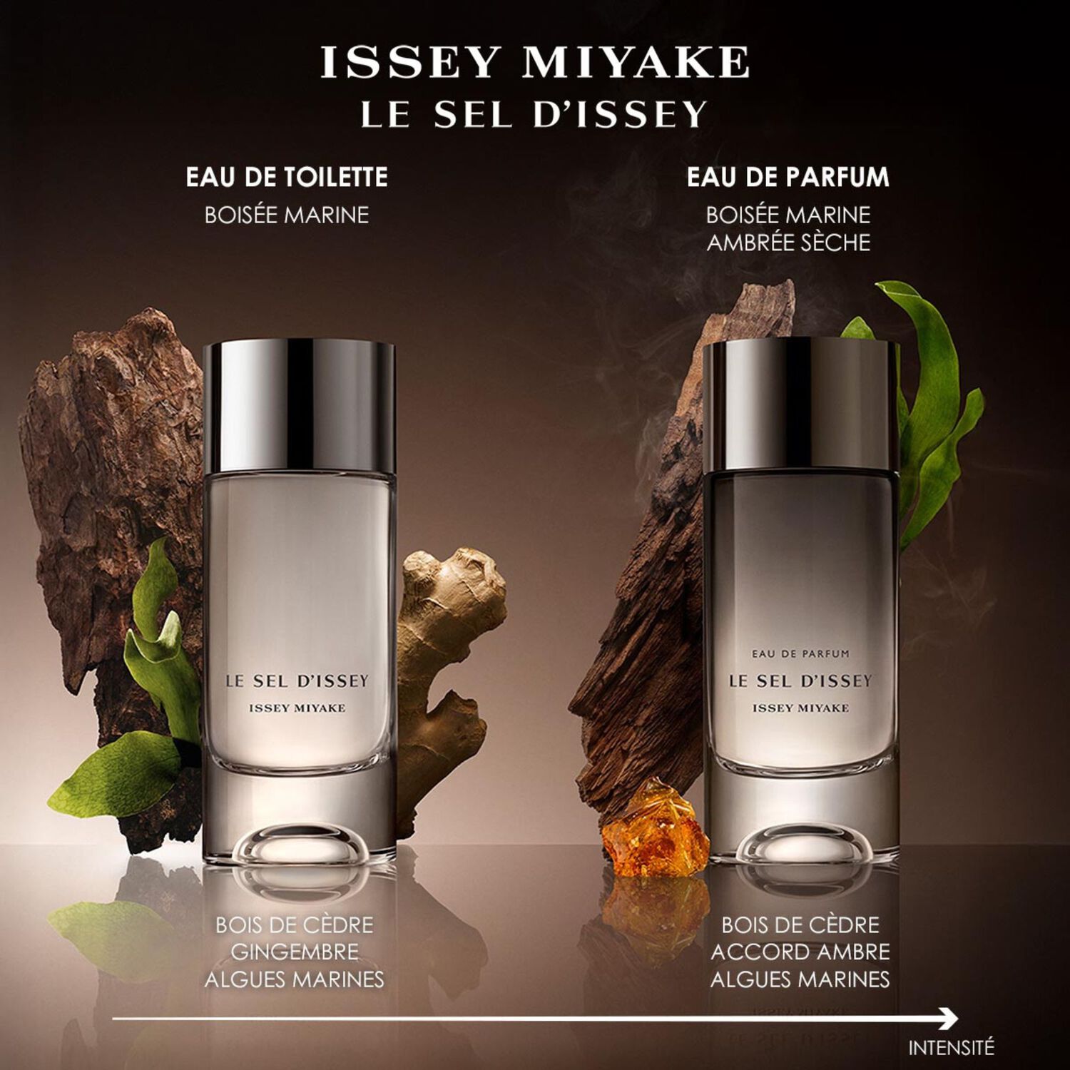 Le Sel d'Issey - Coffret Eau de Toilette 100ml + Vaporisateur 10ml + Gel Douche 50ml