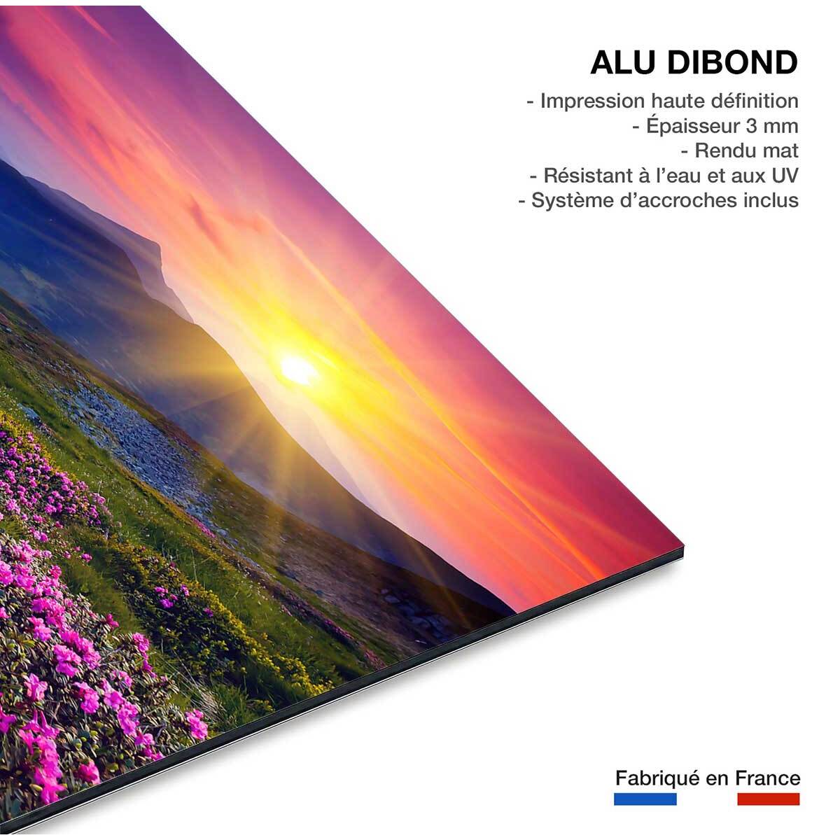 Tableau champ de fleurs Tableau alu Dibond